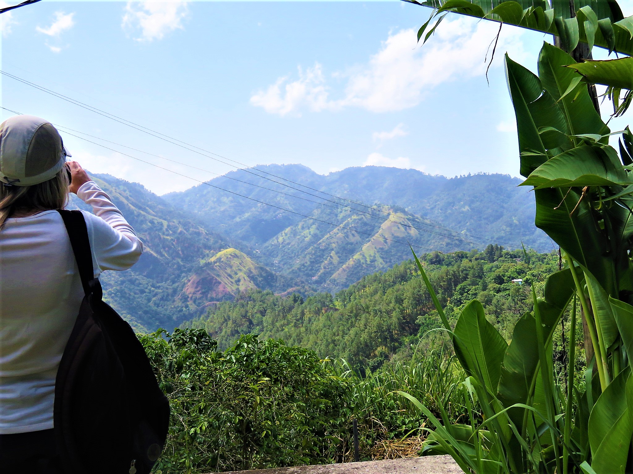 Jamaica Cultural Enterprises Blue Mountain Tour