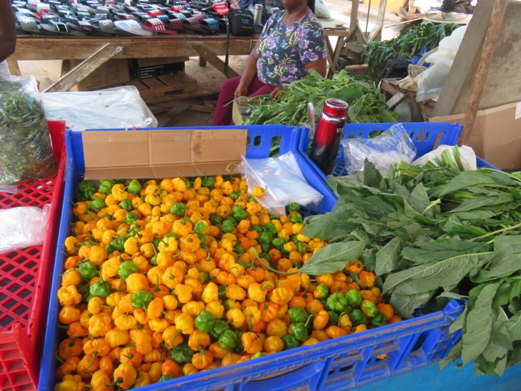 Scotch bonnet peppers in Ocho Rios market on Jamaica Cultural Tours Ocho Rios Walking Tour